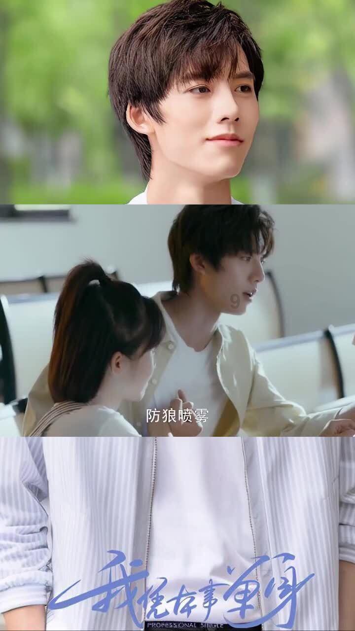拯救受伤的猫