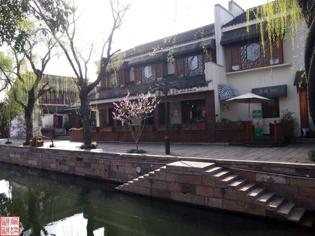 42岁马丽登《趋势》开年封面，穿玫瑰袖深V礼服，如美神降临